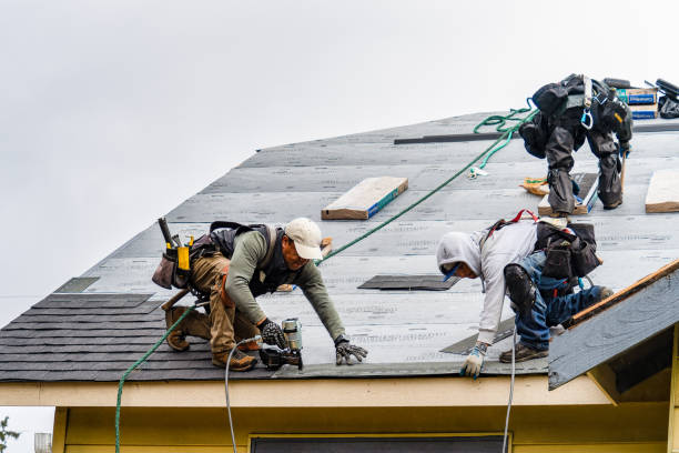 Professional Storm Damage Roof Repair technician working in Utica, MS